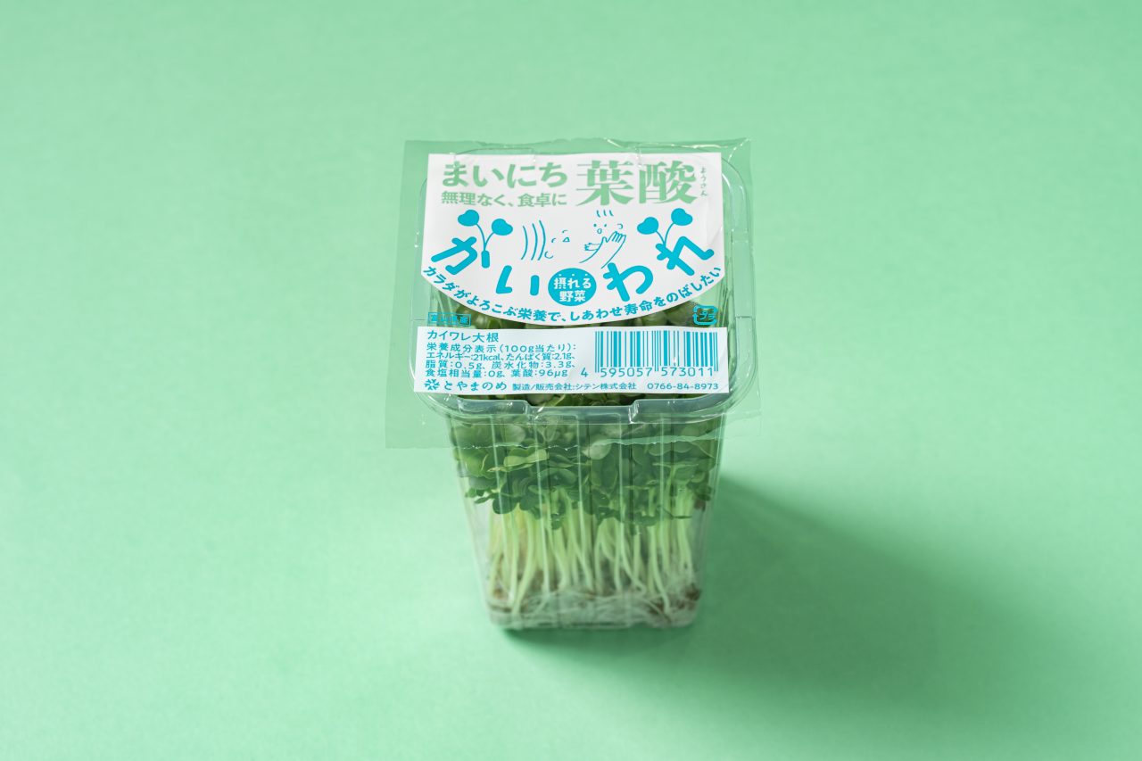 富山県産かいわれ